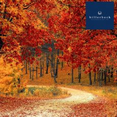 Őszi óraátállítás 2025 – Hogyan heverjük ki az óraátállítást